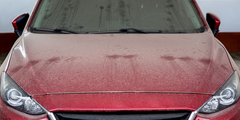 塗装に浸透した花粉は洗車だけでは落とせない