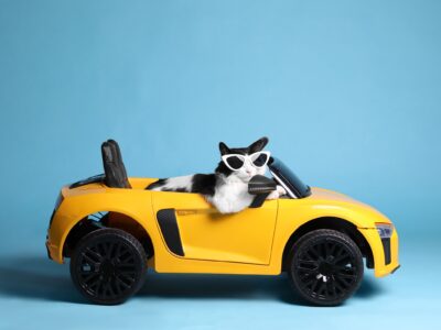 新車の納期が待てない人必見!最短1ヶ月で人気車に乗る裏技「限定在庫」とは?