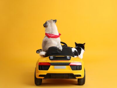 カーリースと購入ならどっちが得？それぞれの仕組みの違いやメリットを徹底比較！