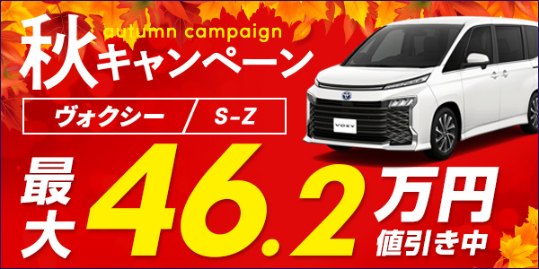 新型の新車トヨタヴォクシーがカーリース&カーローンなら月々19,800円