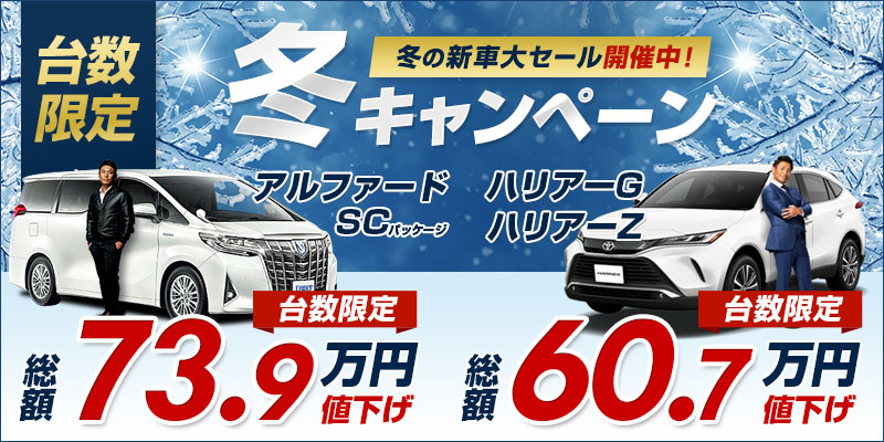 新車の車リース・マイカーリース【リースナブル】月額6,600円～の新型 